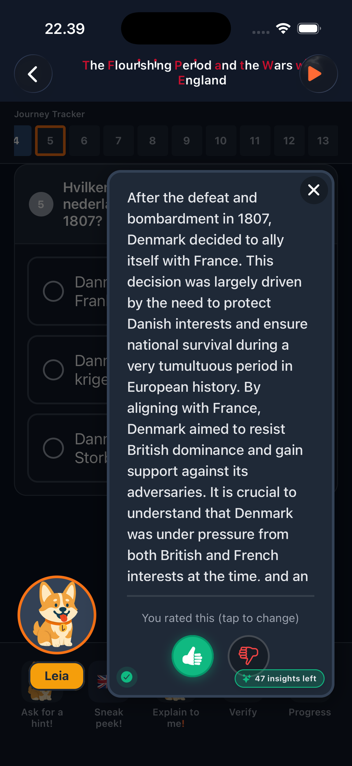 AI explanation